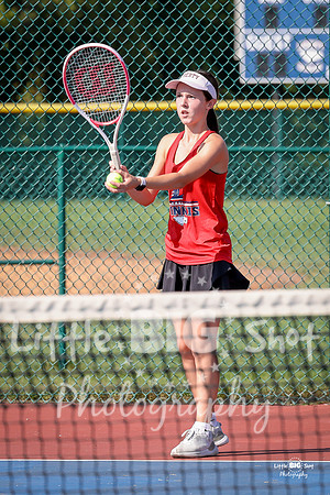 LHS-JV-15