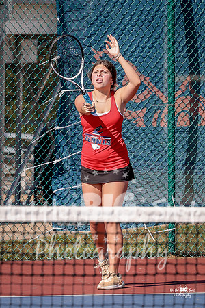 LHS-JV-54