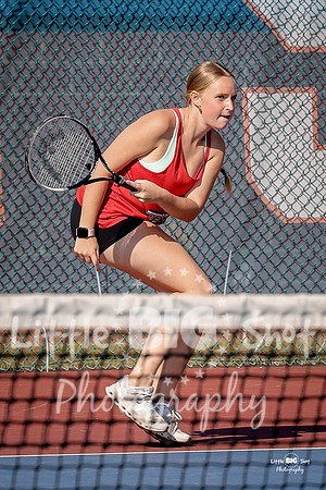 LHS-JV-62