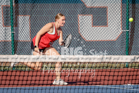 LHS-JV-61