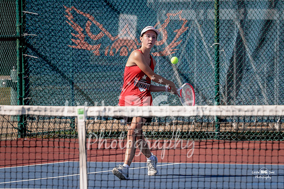 LHS-JV-70