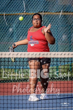 LHS-JV-76