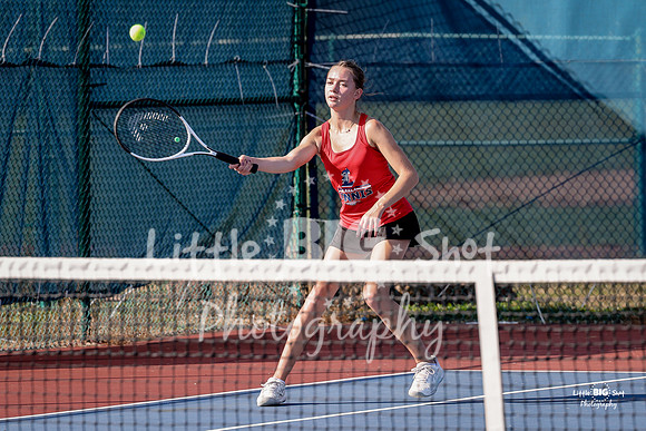 LHS-JV-96