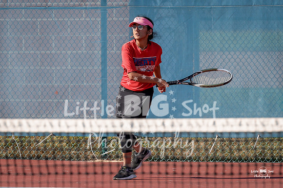 LHS-JV-139