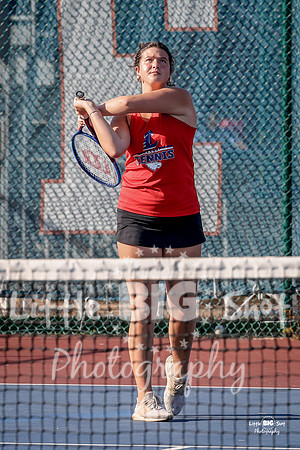 LHS-JV-153