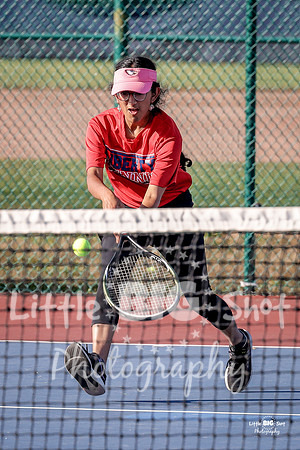 LHS-JV-161