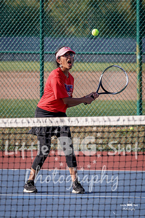 LHS-JV-165