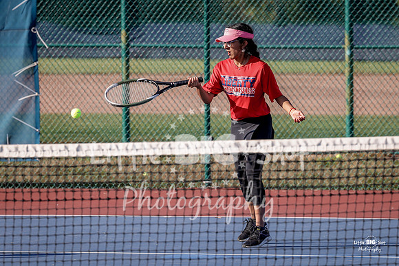 LHS-JV-166