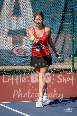 LHS-JV-171