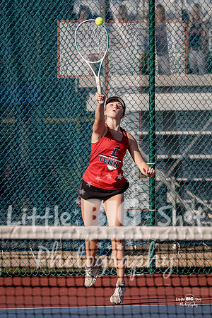 LHS-JV-169