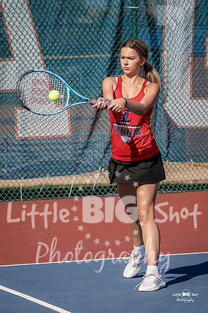 LHS-JV-172