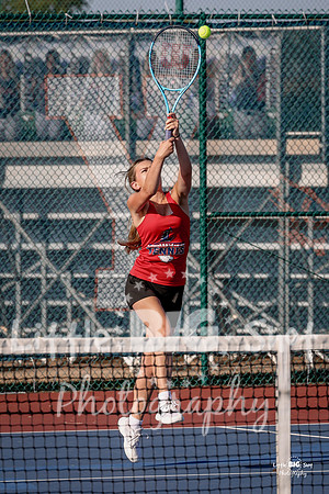 LHS-JV-183