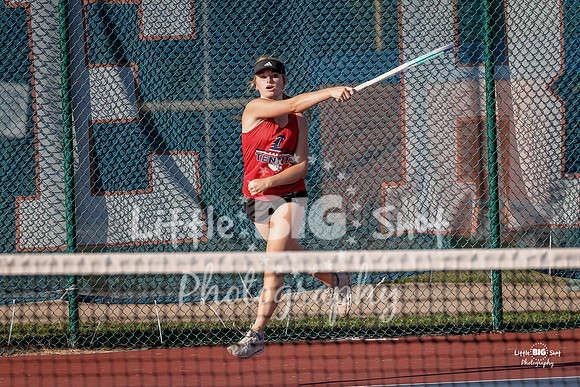 LHS-JV-181