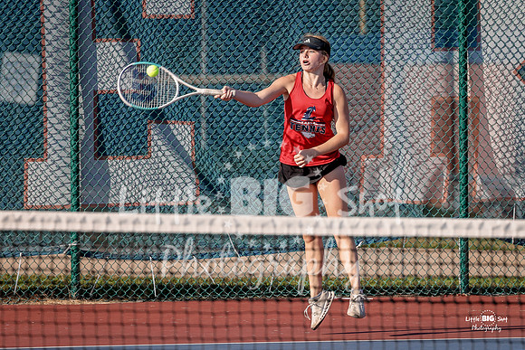 LHS-JV-180