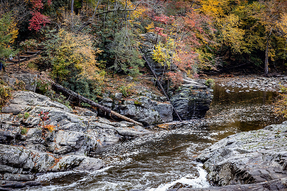 CreekBeforeTheSinks
