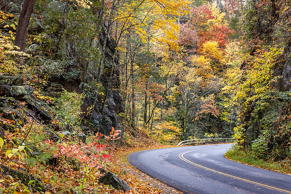 Fall-CurvetoCadesCove