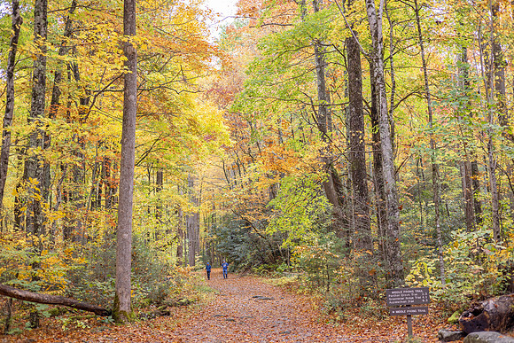 Freemont-Trail2