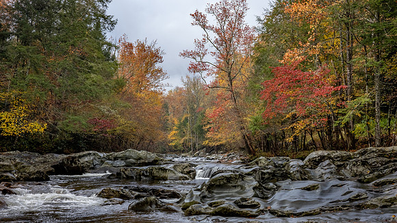 Greenbrier-FallColorA