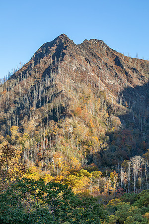 ChimneyTops