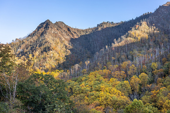 ChimneyTops-YellowSkirt2
