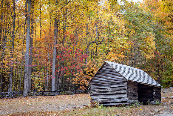CabinInTheWoods