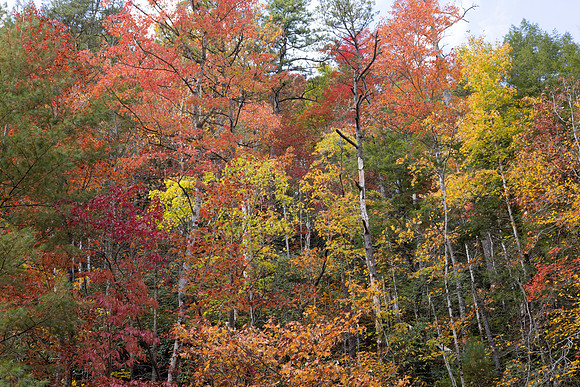 Fall-SOOCL