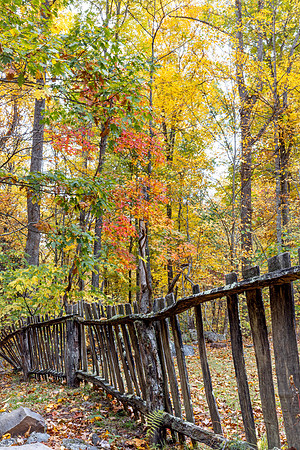 FencedInFall