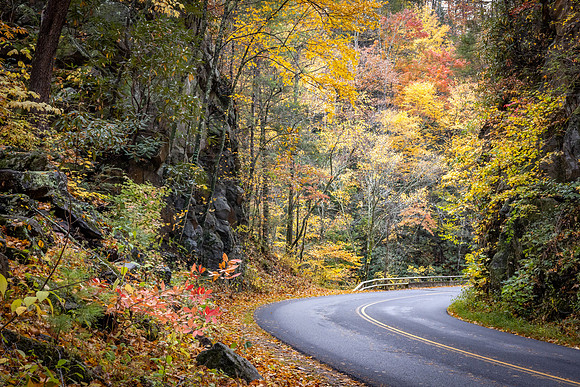 Road2CadesCove