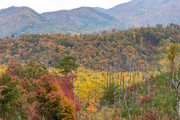ViewFromRoaringFork
