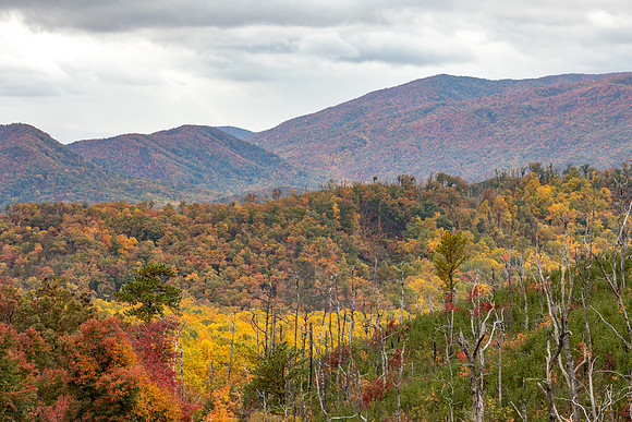ViewFromRoaringFork2nd