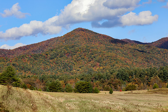 ViewFromCadesCove