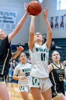 THS-JVg-12