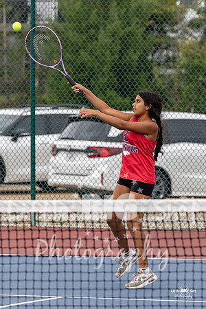 LHS-JV-203