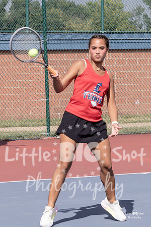 LHS-JV-52