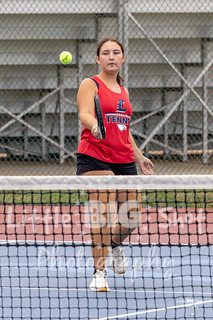 LHS-JV-274