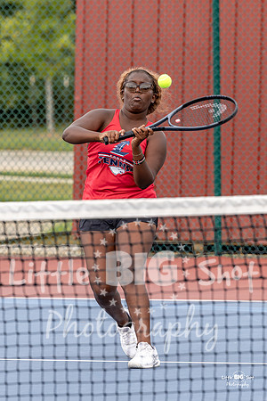 LHS-JV-201