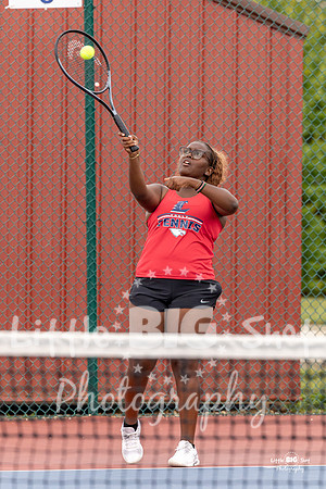 LHS-JV-197