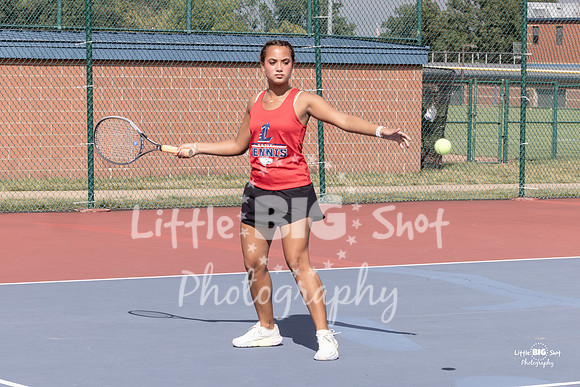 LHS-JV-54
