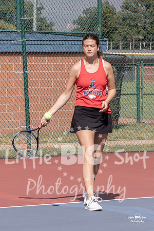 LHS-JV-53