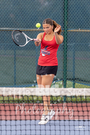 LHS-JV-81