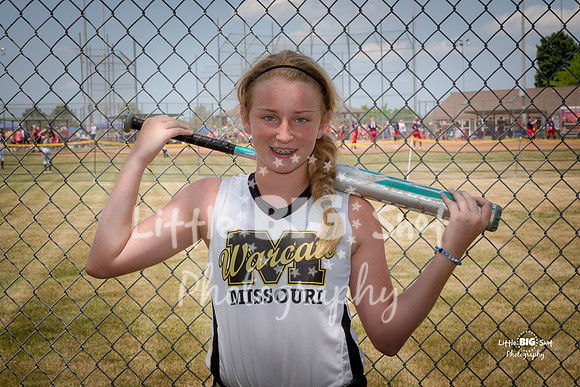 WC-Individual-1-bat