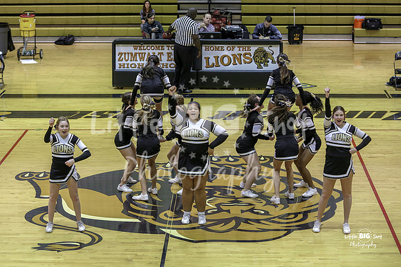 JV-Cheer08