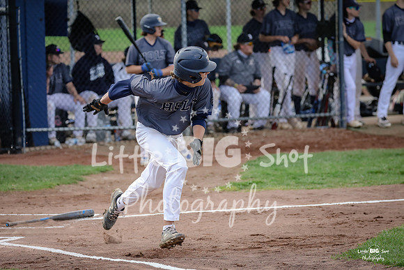 Holt-18
