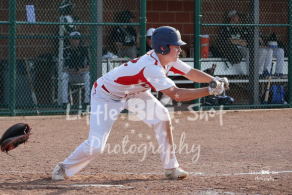 x-12-Bunting
