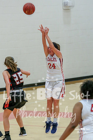 LHS-HanJV-13a