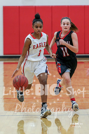 LHS-HanJV-19