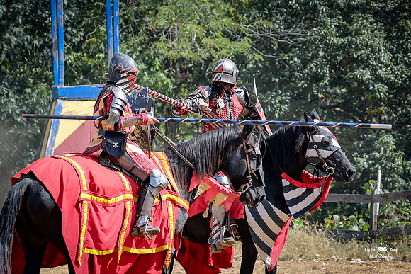 2023-Jousting-58