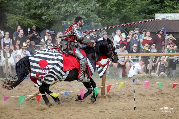 2023-Jousting-137