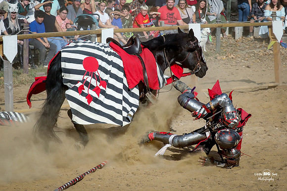 2023-Jousting-199