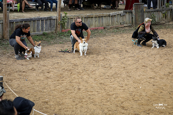 2023-Jousting-89